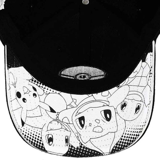 Picture of Pokemon Pokeball Holographic Elite Flex Hat