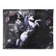 Picture of Tiny Tina's Wonderlands Digital Print Bi-fold Wallet