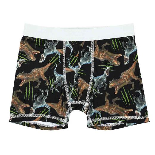 Picture of Jurassic Park Youth 5 pc. Boxer Briefs