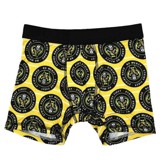 Picture of Cobra Kai Youth 5 pc. Boxer Briefs