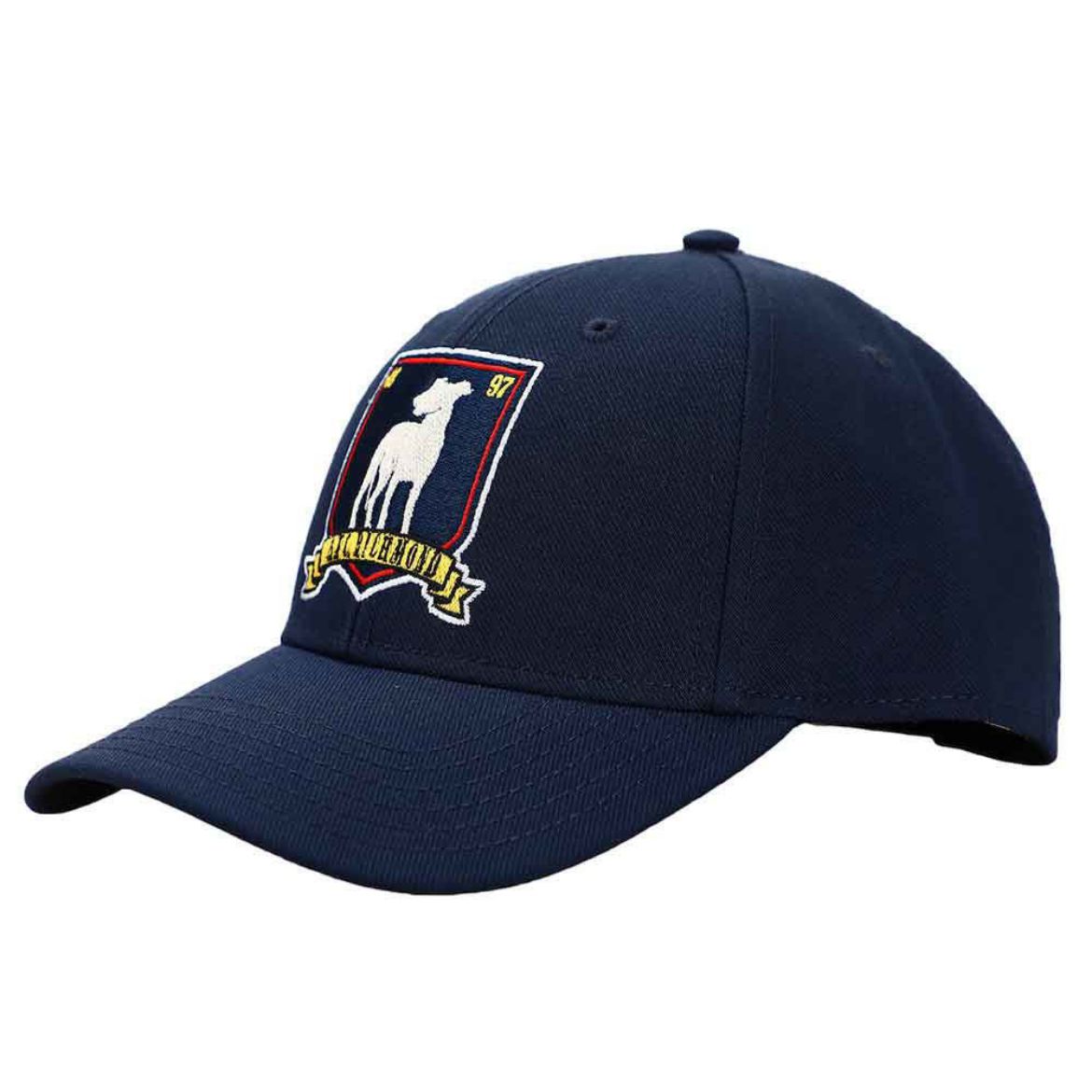 Picture of Ted Lasso A.F.C. Richmond Embroidered Hat