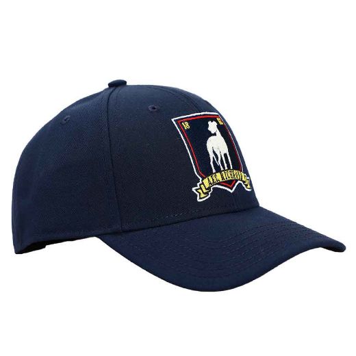 Picture of Ted Lasso A.F.C. Richmond Embroidered Hat