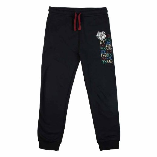 Picture of Harry Potter Youth Zip-Up Hoodie & Jogger Combo