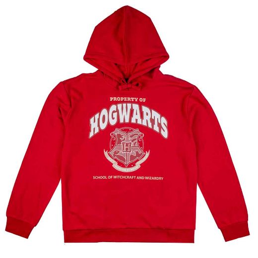 Picture of Harry Potter Hogwarts Alumni Hoodie & Jogger Combo