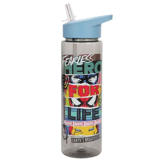 Picture of Marvel Universe Character 24 oz. Single-Wall Water Bottle