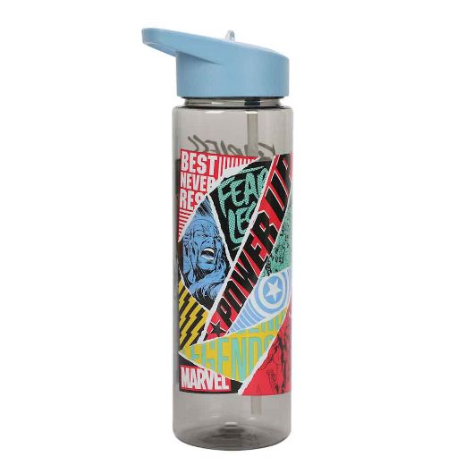 Picture of Marvel Universe Character 24 oz. Single-Wall Water Bottle