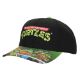 Picture of Teenage Mutant Ninja Turtles Classic Pre-Curved Bill Snapback