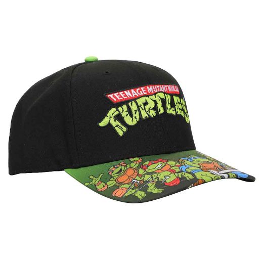 Picture of Teenage Mutant Ninja Turtles Classic Pre-Curved Bill Snapback