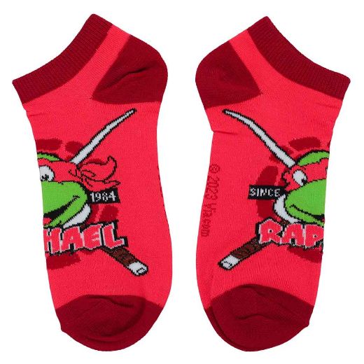 Picture of Teenage Mutant Ninja Turtles Retro Characters 5 Pair Ankle Socks