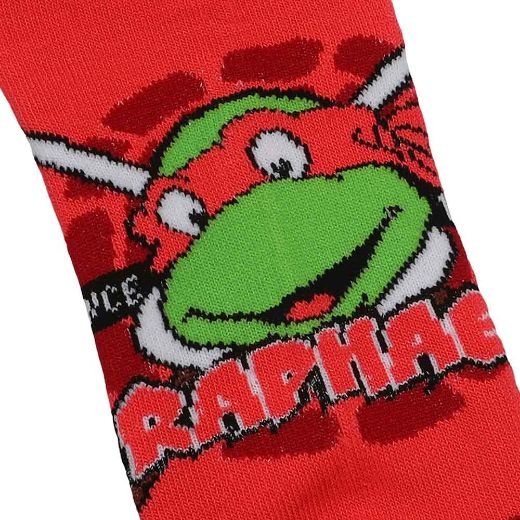 Picture of Teenage Mutant Ninja Turtles Retro Characters 5 Pair Ankle Socks