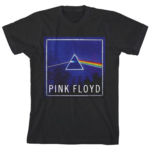 Picture of Pink Floyd The Dark Side of the Moon Unisex Youth Tee