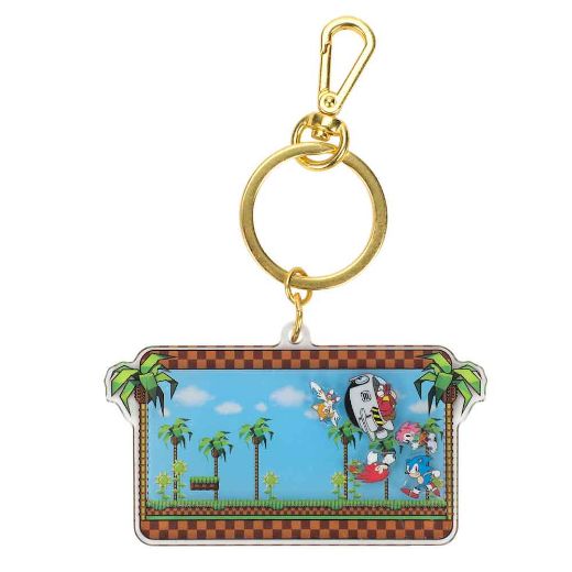 Picture of Sonic the Hedgehog Classic Shaker Keychain