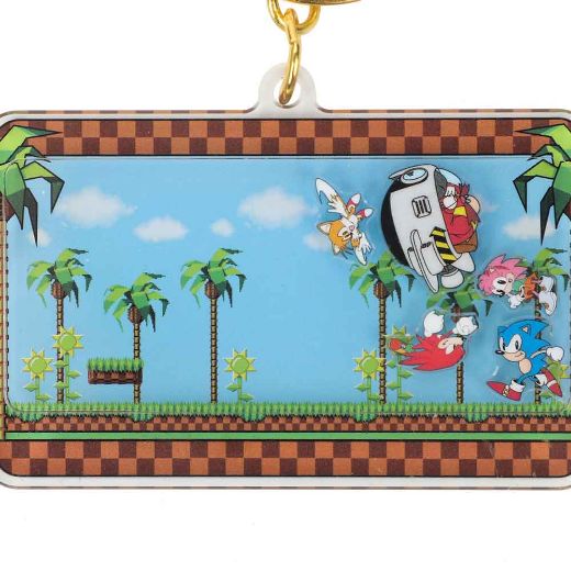 Picture of Sonic the Hedgehog Classic Shaker Keychain