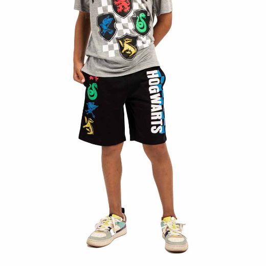 Picture of Harry Potter Hogwarts House Youth Tee & Shorts Set
