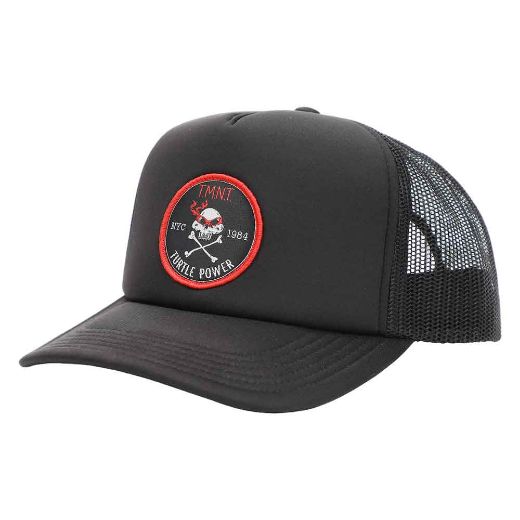 Picture of Teenage Mutant Ninja Turtles Turtle PowerTrucker