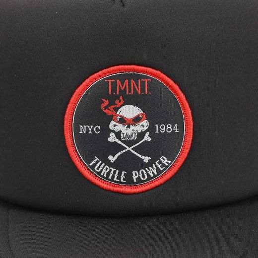 Picture of Teenage Mutant Ninja Turtles Turtle PowerTrucker