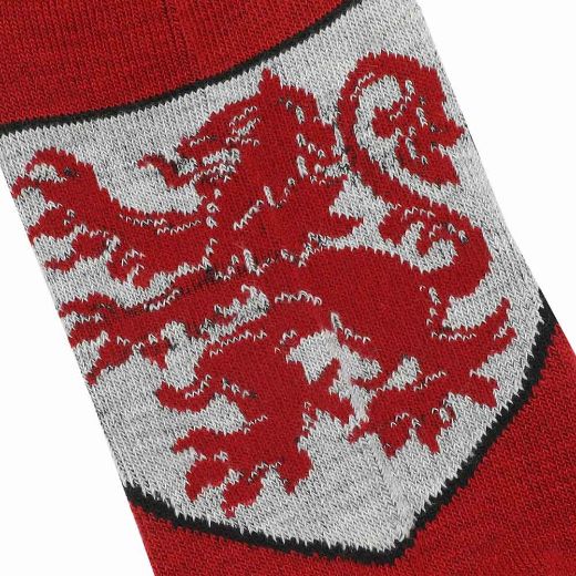 Picture of Harry Potter Gryffindor 5 Pair Ankle Socks