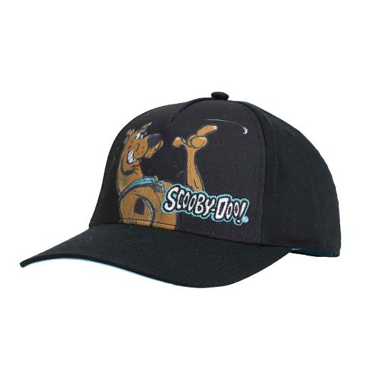 Picture of Scooby Doo Sublimated Youth Curved Bill Snapback