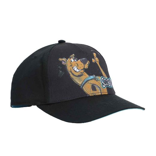 Picture of Scooby Doo Sublimated Youth Curved Bill Snapback