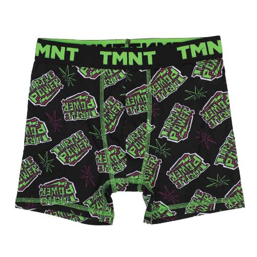 Picture of Teenage Mutant Ninja Turtles AOP Youth 5 pc. Boxer Briefs