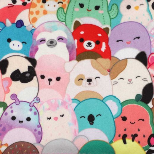 Picture of Squishmallows Characters Youth Beanie & Gloves Combo
