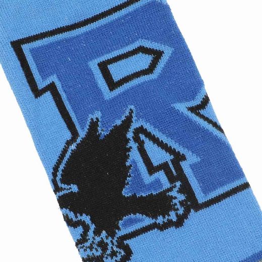 Picture of Harry Potter Ravenclaw 5 Pair Ankle Socks