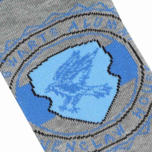 Picture of Harry Potter Ravenclaw 5 Pair Ankle Socks