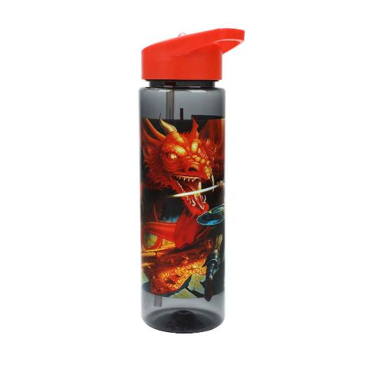 Picture of Dungeons & Dragons 24 oz. Single-Wall Water Bottle