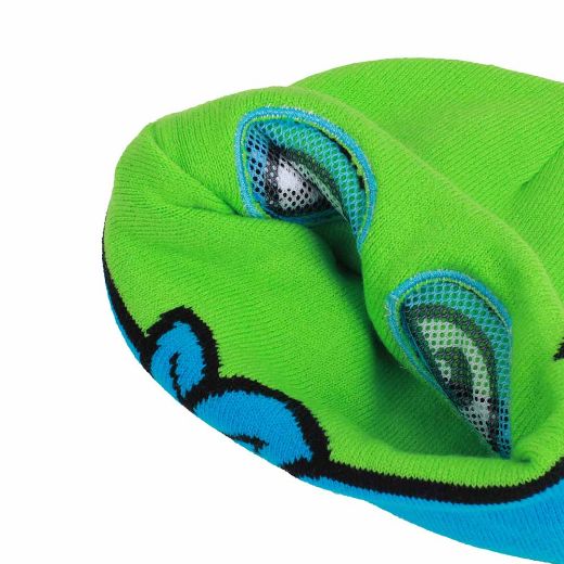 Picture of Teenage Mutant Ninja Turtles Leonardo Cosplay Roll Down Beanie