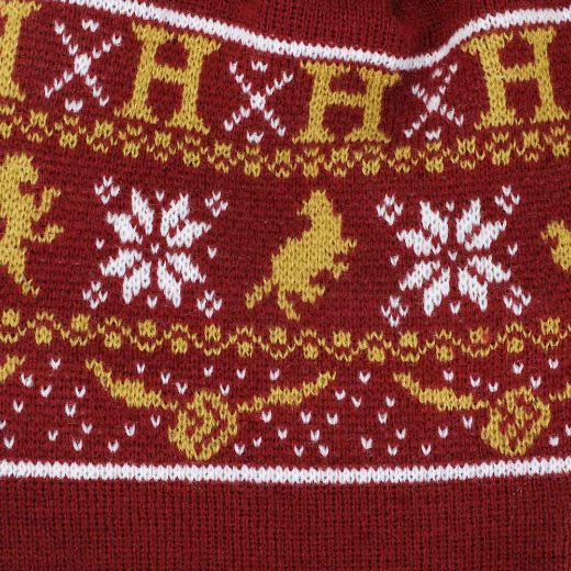 Picture of Harry Potter Hogwarts Trapper Lined Beanie