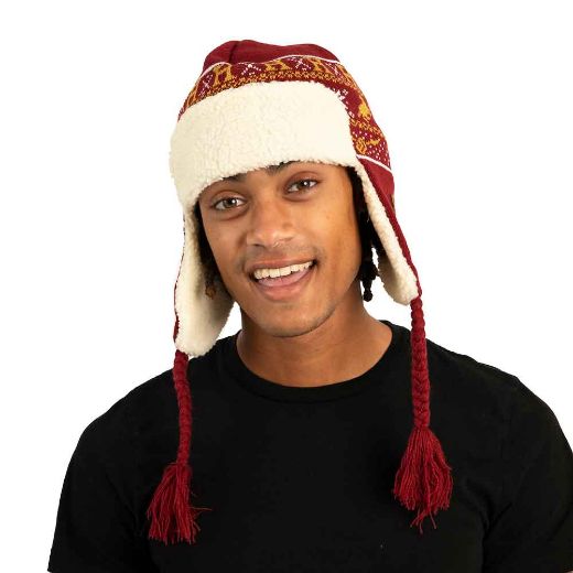 Picture of Harry Potter Hogwarts Trapper Lined Beanie
