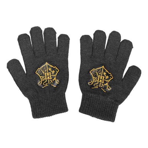 Picture of Harry Potter Hogwarts Youth Beanie & Gloves Combo