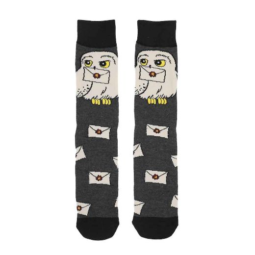 Picture of Harry Potter Hogwarts 6 Pair Crew Socks with Tin Tote