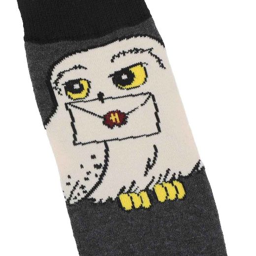Picture of Harry Potter Hogwarts 6 Pair Crew Socks with Tin Tote