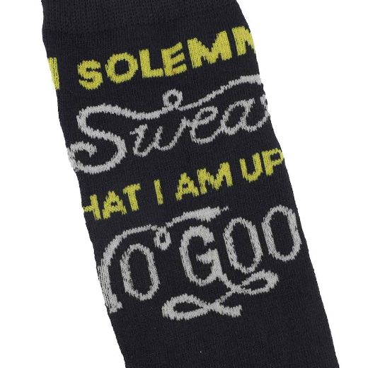 Picture of Harry Potter Hogwarts 6 Pair Crew Socks with Tin Tote
