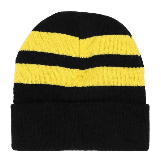 Picture of Pokemon Pikachu & Pokeball Youth 2 Pack Cuff Beanies