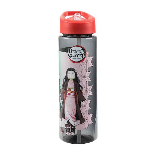 Picture of Demon Slayer 24 oz. Single-Wall Water Bottle