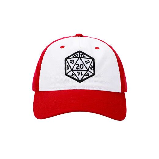 Picture of Dungeons & Dragons Embroidered Contrast Hat