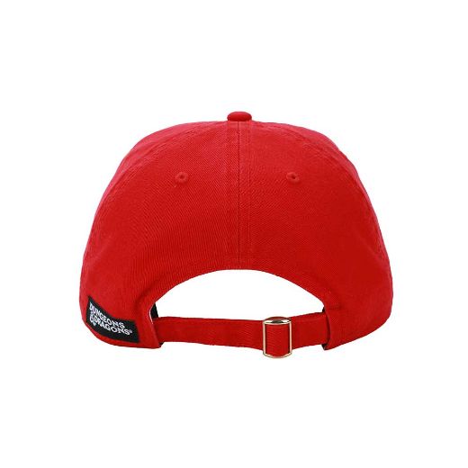 Picture of Dungeons & Dragons Embroidered Contrast Hat