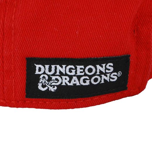 Picture of Dungeons & Dragons Embroidered Contrast Hat
