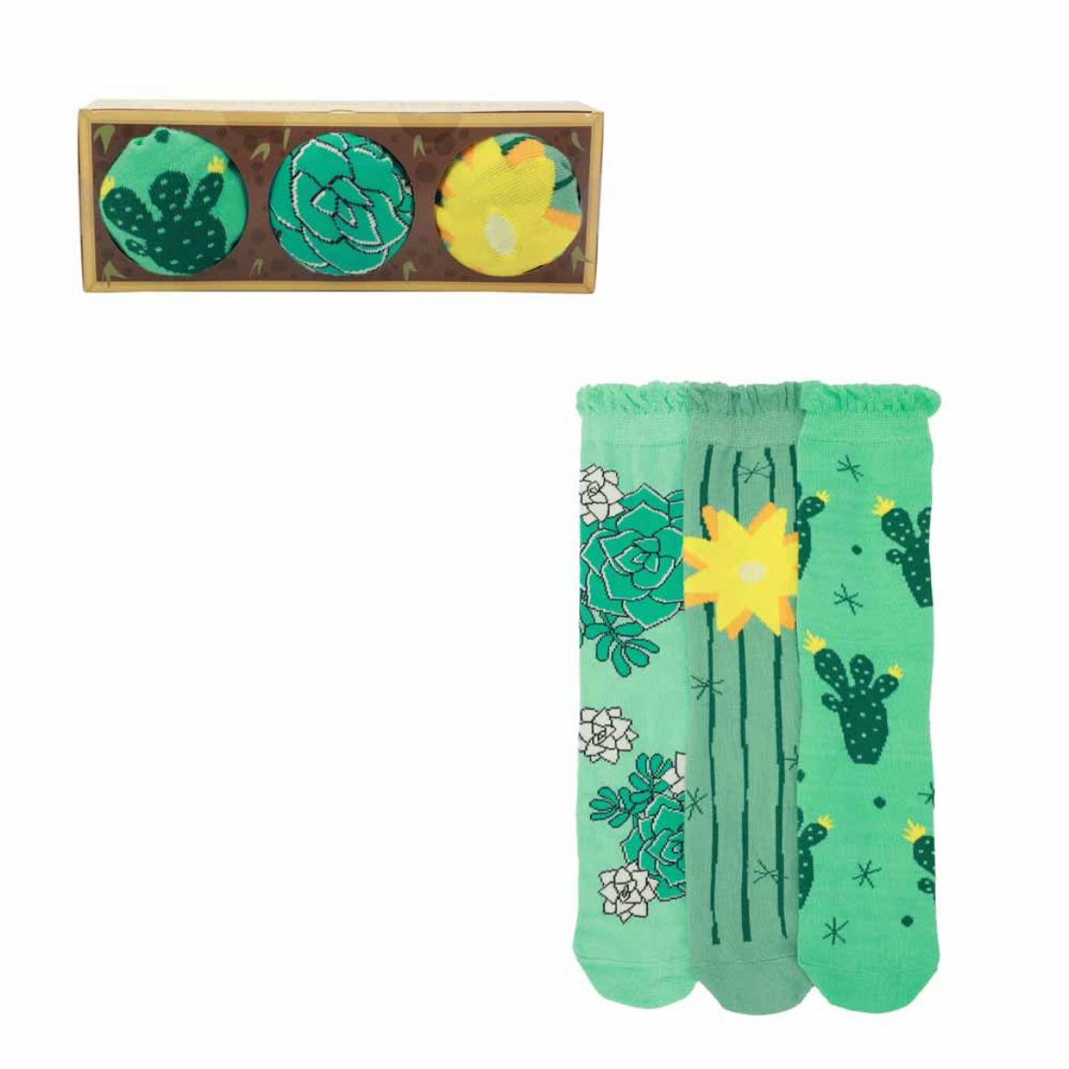Picture of Fresh Sockulents 3 Pair Crew Box Set