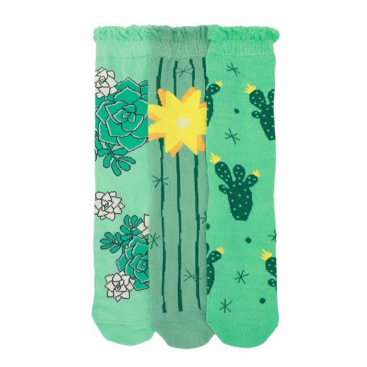 Picture of Fresh Sockulents 3 Pair Crew Box Set
