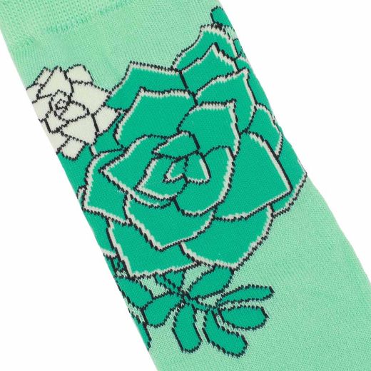 Picture of Fresh Sockulents 3 Pair Crew Box Set