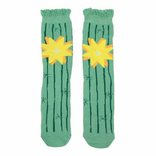 Picture of Fresh Sockulents 3 Pair Crew Box Set
