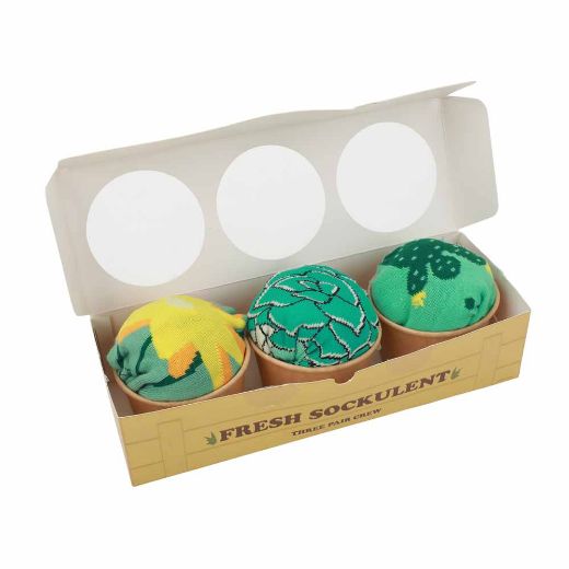 Picture of Fresh Sockulents 3 Pair Crew Box Set