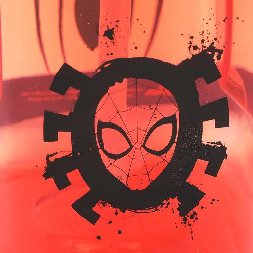 Picture of Marvel Spider-Man 50 oz. Water Bottle with Strap 