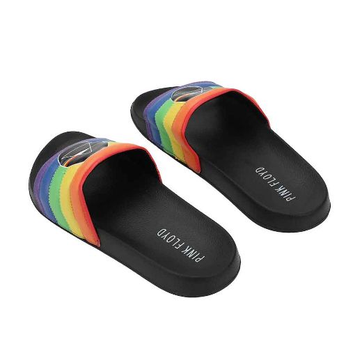 Picture of Pink Floyd The Dark Side of the Moon Slides