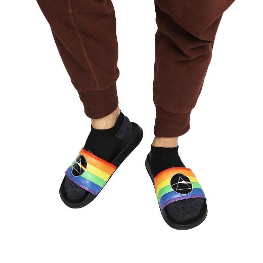 Picture of Pink Floyd The Dark Side of the Moon Slides
