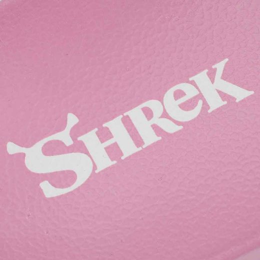 Picture of Dreamworks Shrek & Donkey Slides