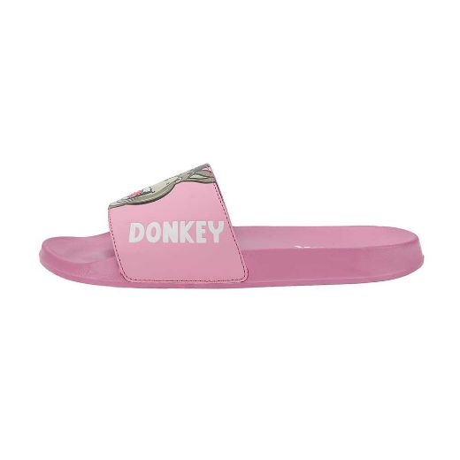 Picture of Dreamworks Shrek & Donkey Slides